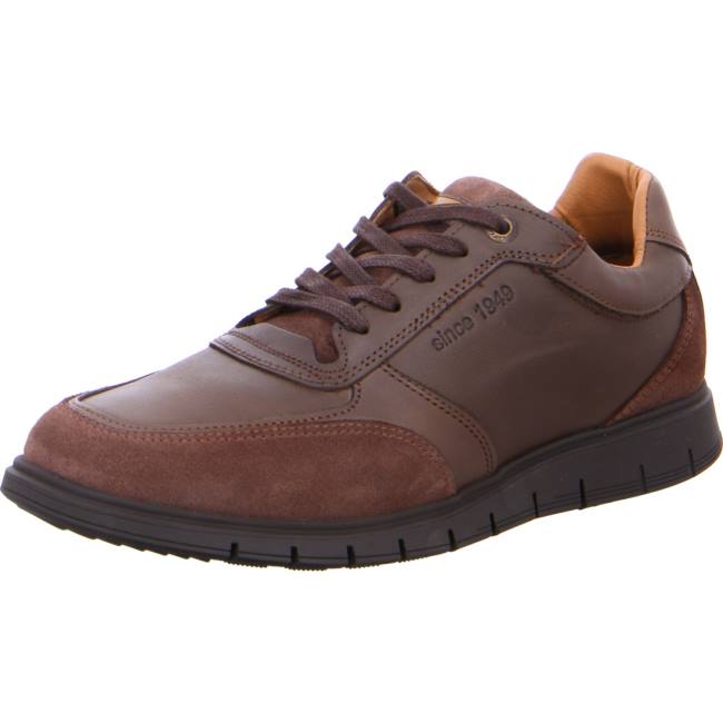 Chaussure Lacet Ara Morton Marron Homme | VRD-7067299