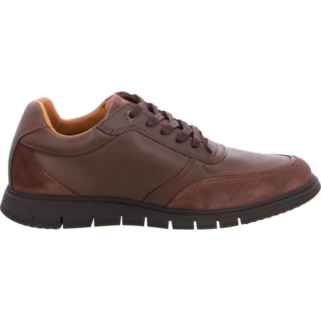 Chaussure Lacet Ara Morton Marron Homme | VRD-7067299