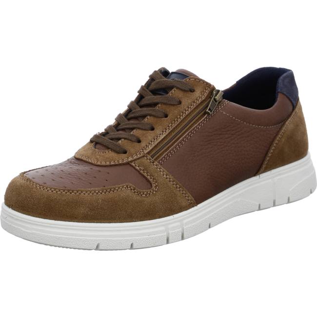 Chaussure Lacet Ara Loris Marron Homme | TGK-4794021