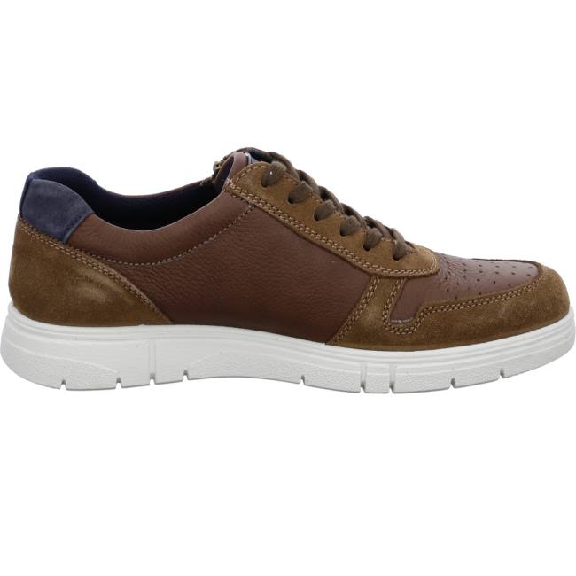 Chaussure Lacet Ara Loris Marron Homme | TGK-4794021