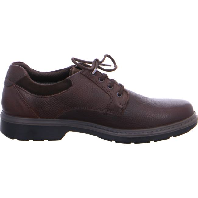 Chaussure Lacet Ara Jan Marron Homme | OWC-2379072