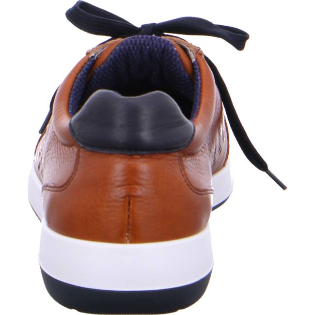 Basket Ara Patrick Marron Homme | RYV-4175029