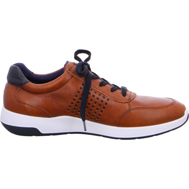 Basket Ara Patrick Marron Homme | RYV-4175029