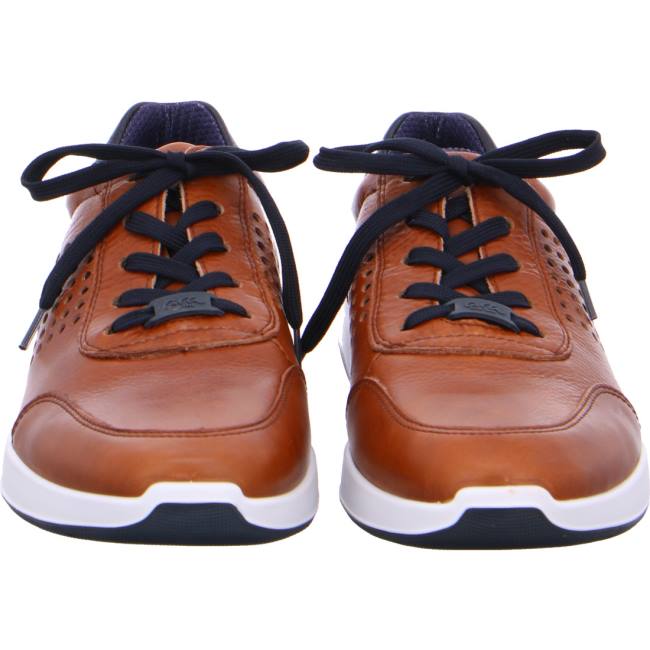 Basket Ara Patrick Marron Homme | RYV-4175029