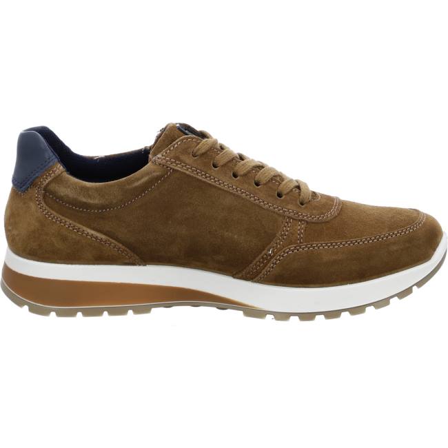 Basket Ara Matteo Tabac Marron Homme | BWY-1379918