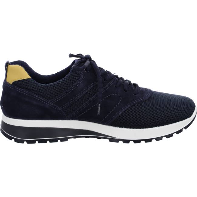 Basket Ara Matteo Bleu Homme | IYB-3486720