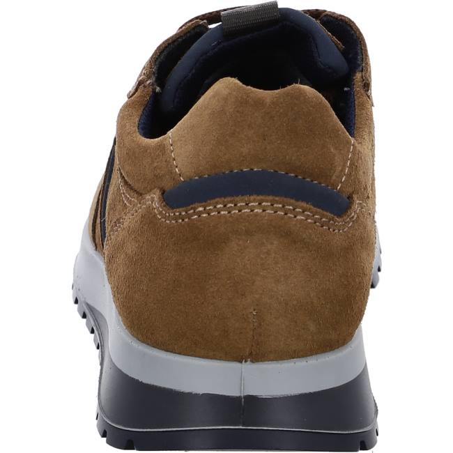 Basket Ara Matteo Marron Homme | RHM-7672523