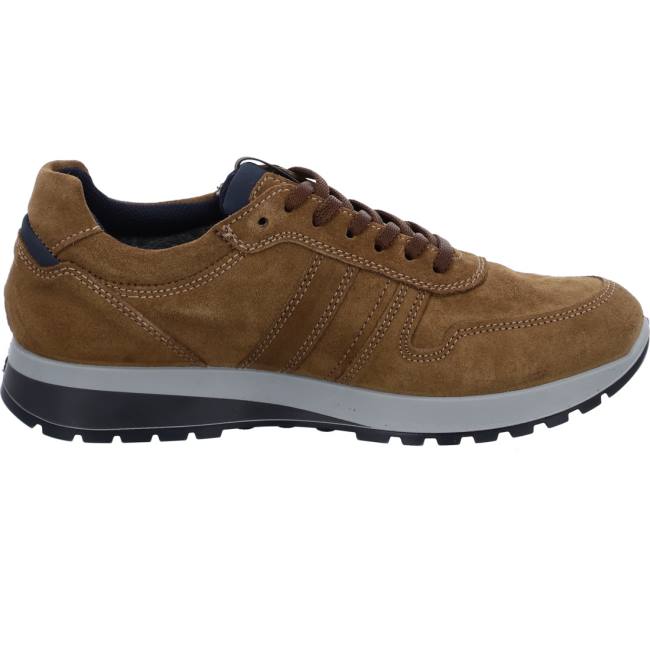 Basket Ara Matteo Marron Homme | RHM-7672523