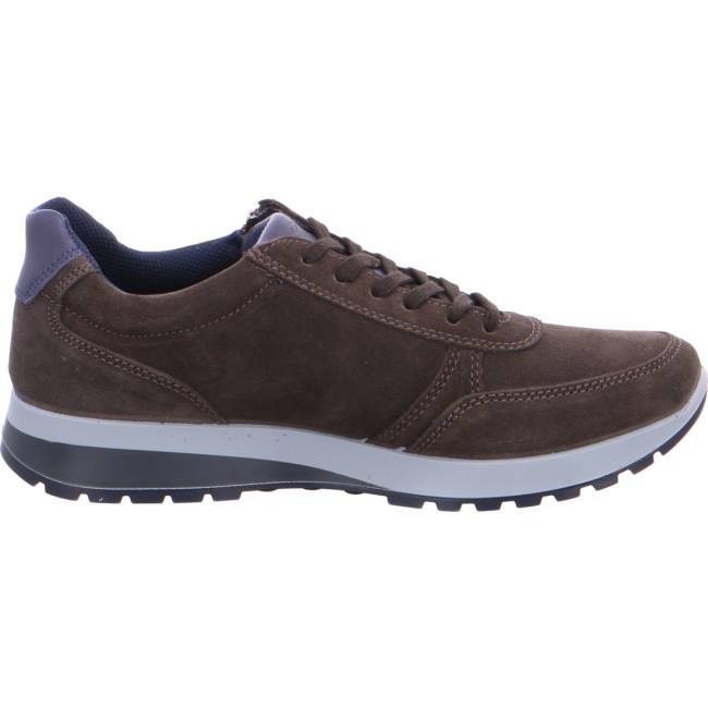 Basket Ara Matteo Marron Homme | TIW-2192807