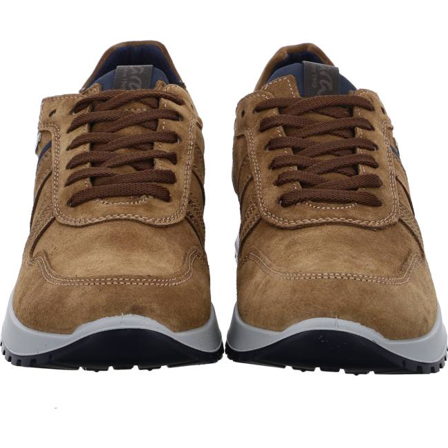 Basket Ara Matteo Marron Homme | RHM-7672523