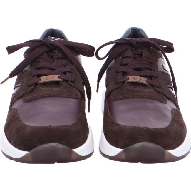 Basket Ara Los Angeles Marron Homme | NDF-9138011