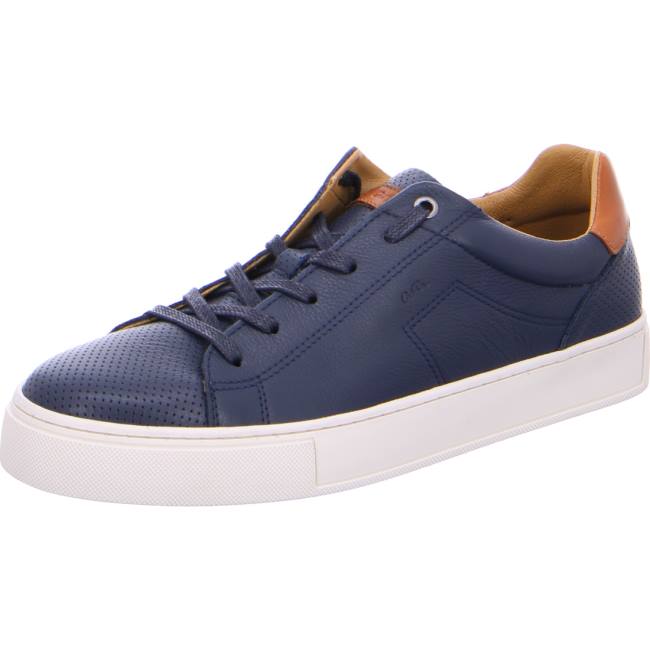 Basket Ara Hampard Bleu Homme | LAL-8513167