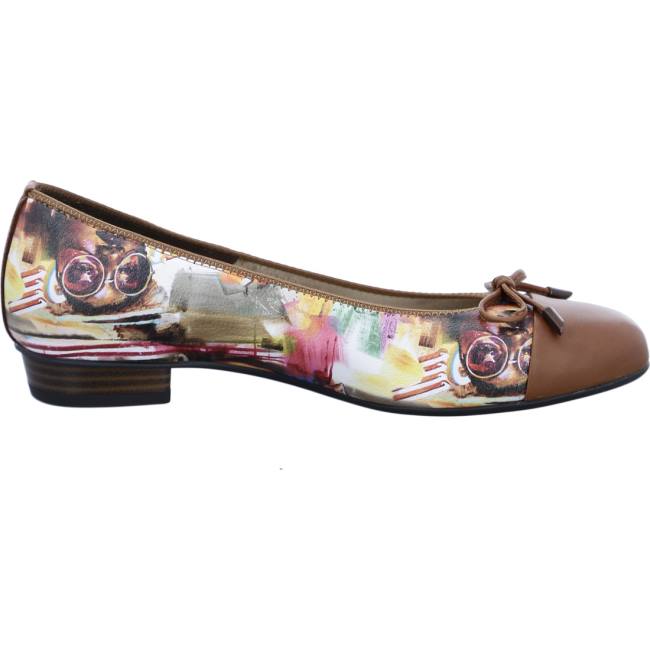 Ballerine Ara Bari Multicolore Femme | ZLD-3633541