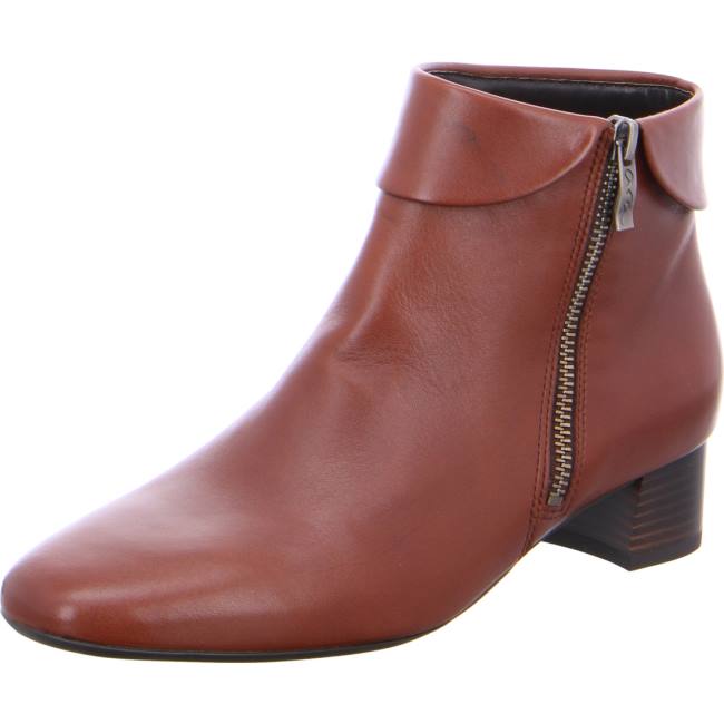 Botte Ara Ankle Vicenza Marron Femme | OPC-7232650