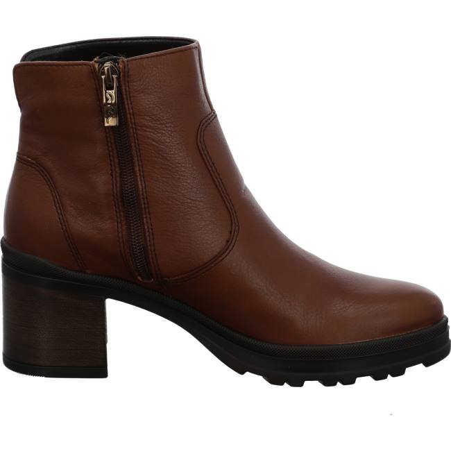 Botte Ara Ankle Mantova Marron Femme | ASS-2077469