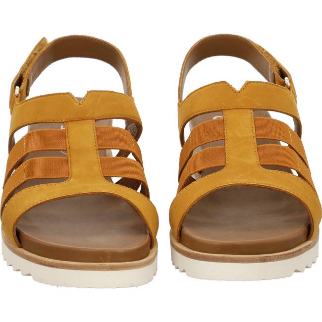 Sandale Ara Wedge Valencia Ochre Marron Femme | XKX-4009133