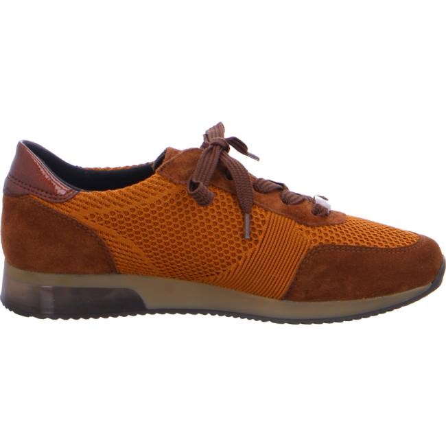 Basket Ara Lissabon Marron Femme | LEL-4997137