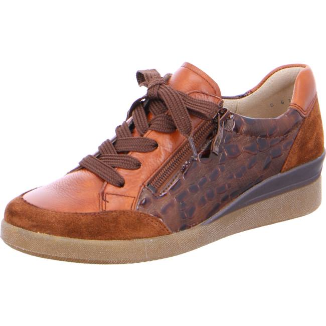 Basket Ara Lazio Marron Femme | LKC-2881674