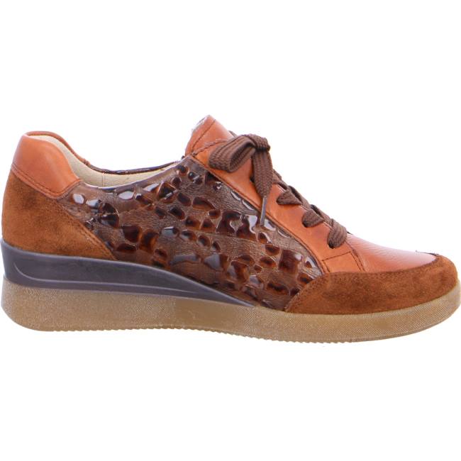 Basket Ara Lazio Marron Femme | LKC-2881674