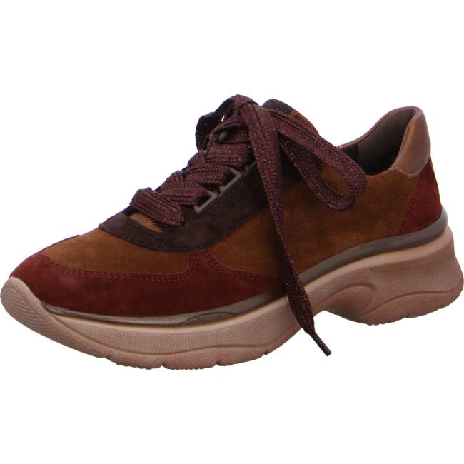 Basket Ara Lace-ups Roma Marron Femme | TDO-9006647