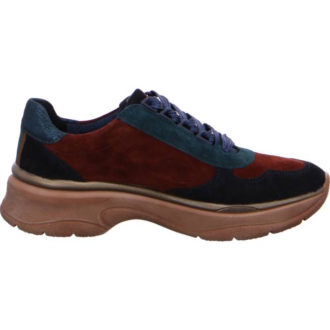 Basket Ara Lace-ups Roma Bleu Femme | GPI-0493519