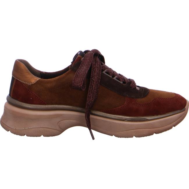 Basket Ara Lace-ups Roma Marron Femme | TDO-9006647